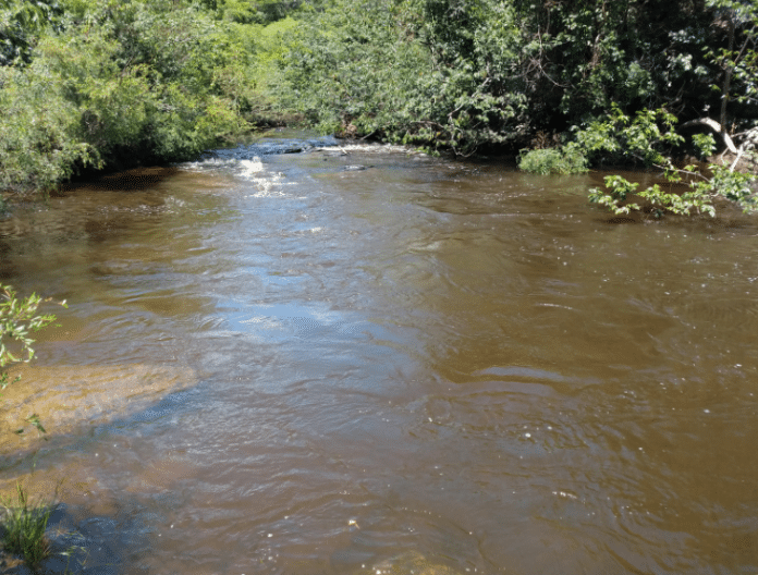 Descubra as Melhores Técnicas de Pesca para Cada Tipo de Rio Sua Isca